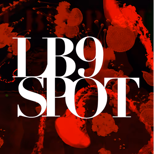 LB9SPOT x ART