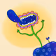 宇宙を生み出す花