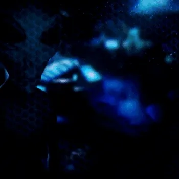 Crypto Alien X Federation