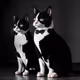 Cat Artwork Collection