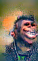 Anthropoid Freak Ape Squad