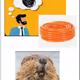 Tot Hose Beavers