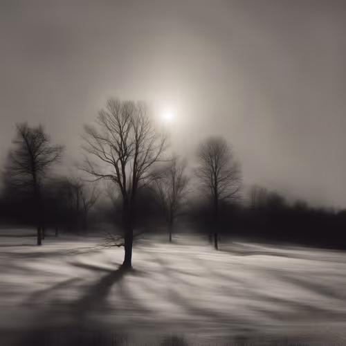 Peace Be Still