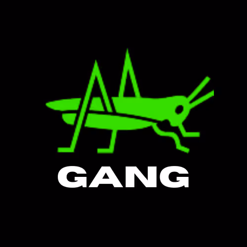 Air Gang - AIR GANG