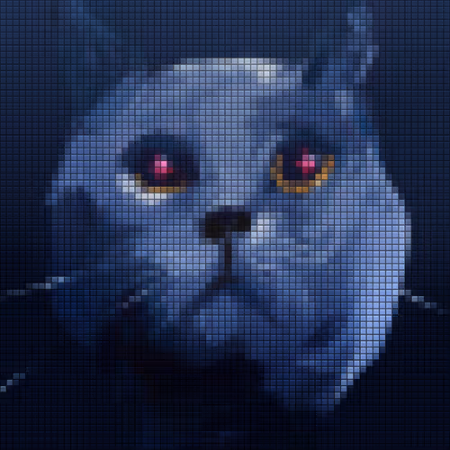 Civos Astro cats