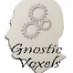 Gnostic Voxels
