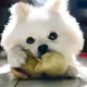 010test