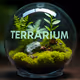 TERRARIUM