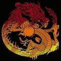 Dragons of Polygon
