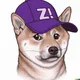 zk Doge