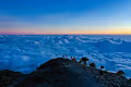 landscape #
