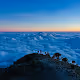 landscape #