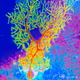 Forest Language: The Inevitable Merge of Natural and Classical Computing