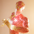 Animations by Leon Kowa