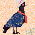 Zalgo x Project Pigeon