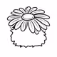 Special Flower Guys