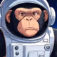 Space Monkey
