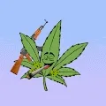 Happy Leaf Co.