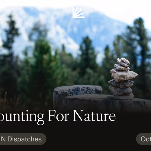Accounting For Nature