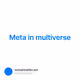 Meta in multiverse