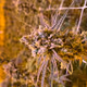 Sour Mind