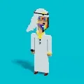 Voxel Sheikh's