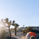 Desert Camp