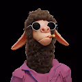 The silence of lamas