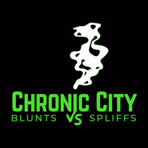 Chronic City