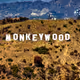 Monkeywood
