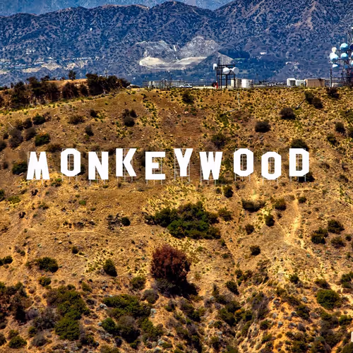 Monkeywood