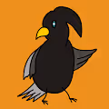 Dotimal birds