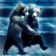 REAL ANIMALS NFT