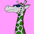 CoolRaffe