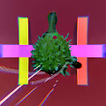 Earthfolly