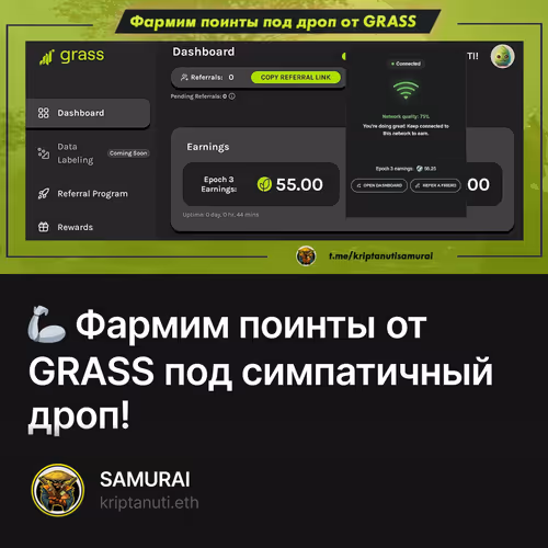 🦾 Фармим поинты от GRASS под симпатичный дроп!