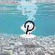 Crypto Stoups Toons