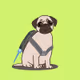 PUGSTER