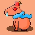 Capybaras Crew