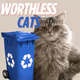 Worthless Cats