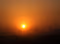 Natural Vision NFT