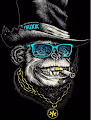 Bingo  Chimp Club