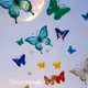 Yani's Butterflies