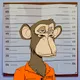WORLD OF THE APES