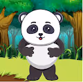 The Panda Punk  House