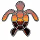 rareseaturtles