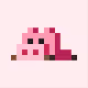 tiny pigs