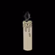 Degenerated High Spirits