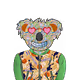 The Cool Koala