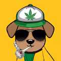 Mano Brownie